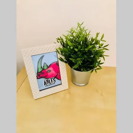 Serenite-la Roquette-rue Tres Calme Apartment Arles